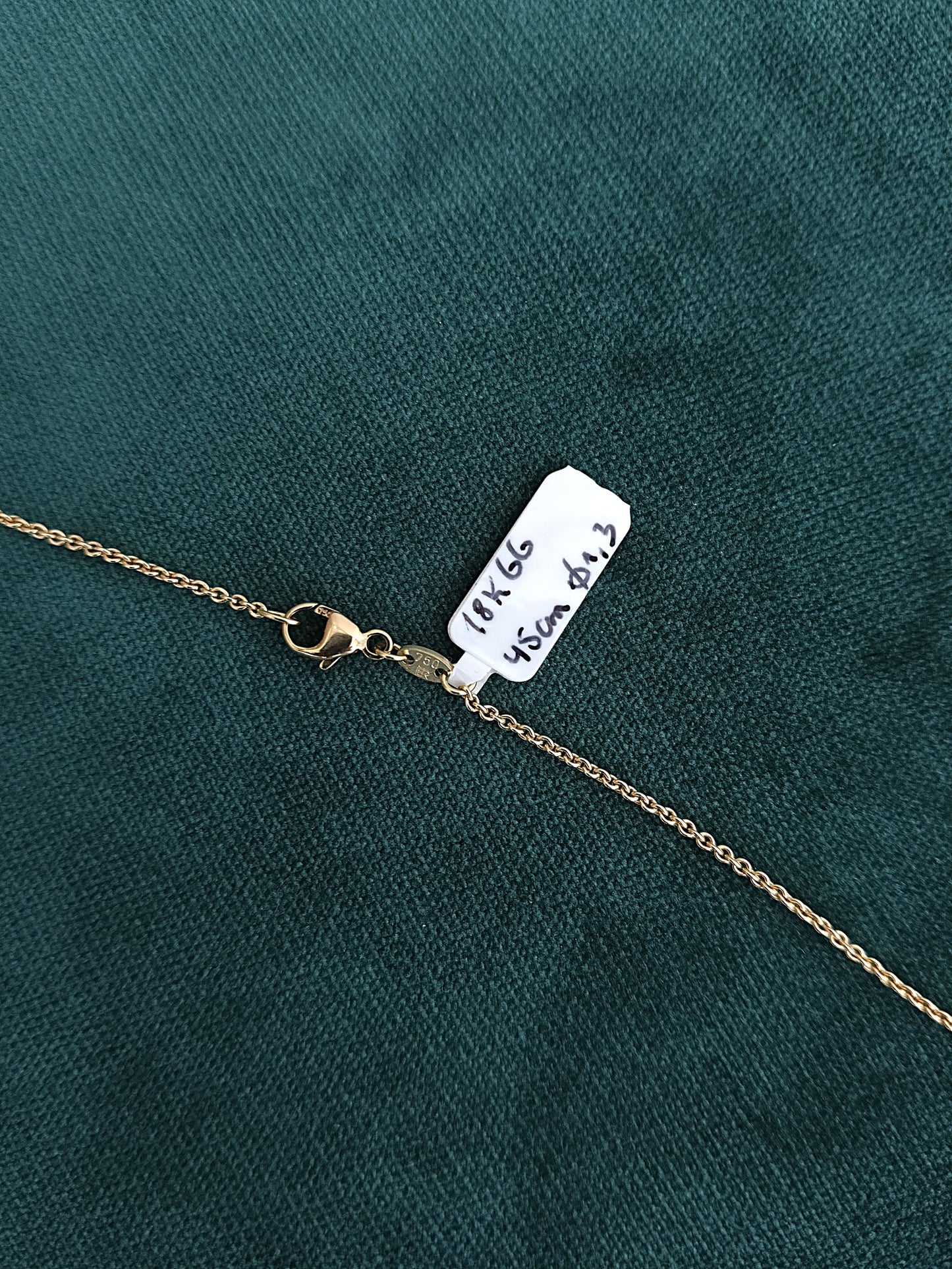 Ketting in 18k geel goud 45cm: Vespenia