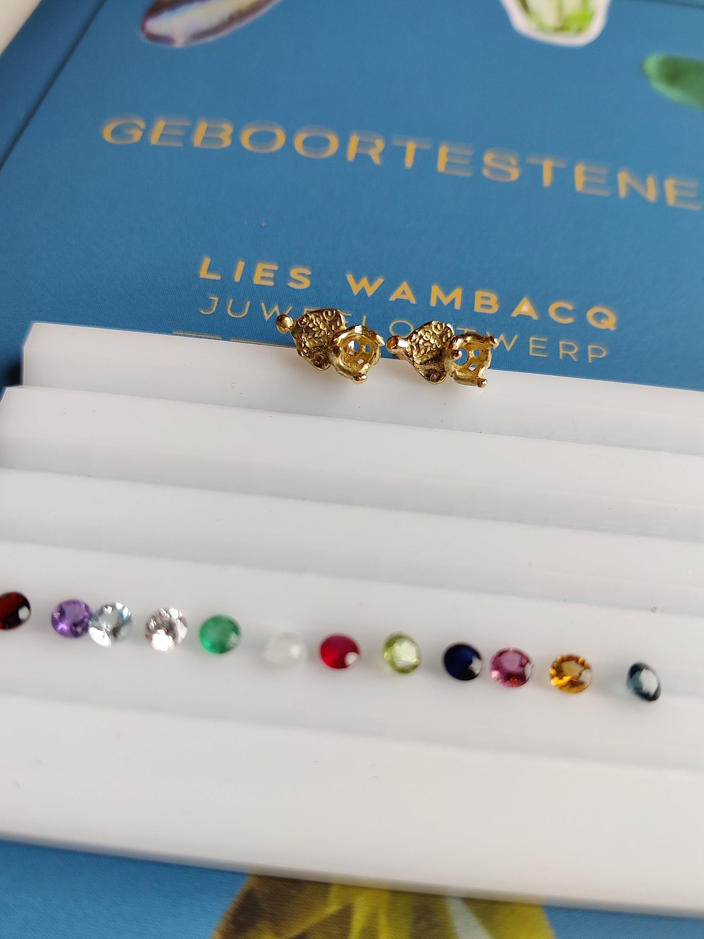 oorbel met geboortesteen naar keuze