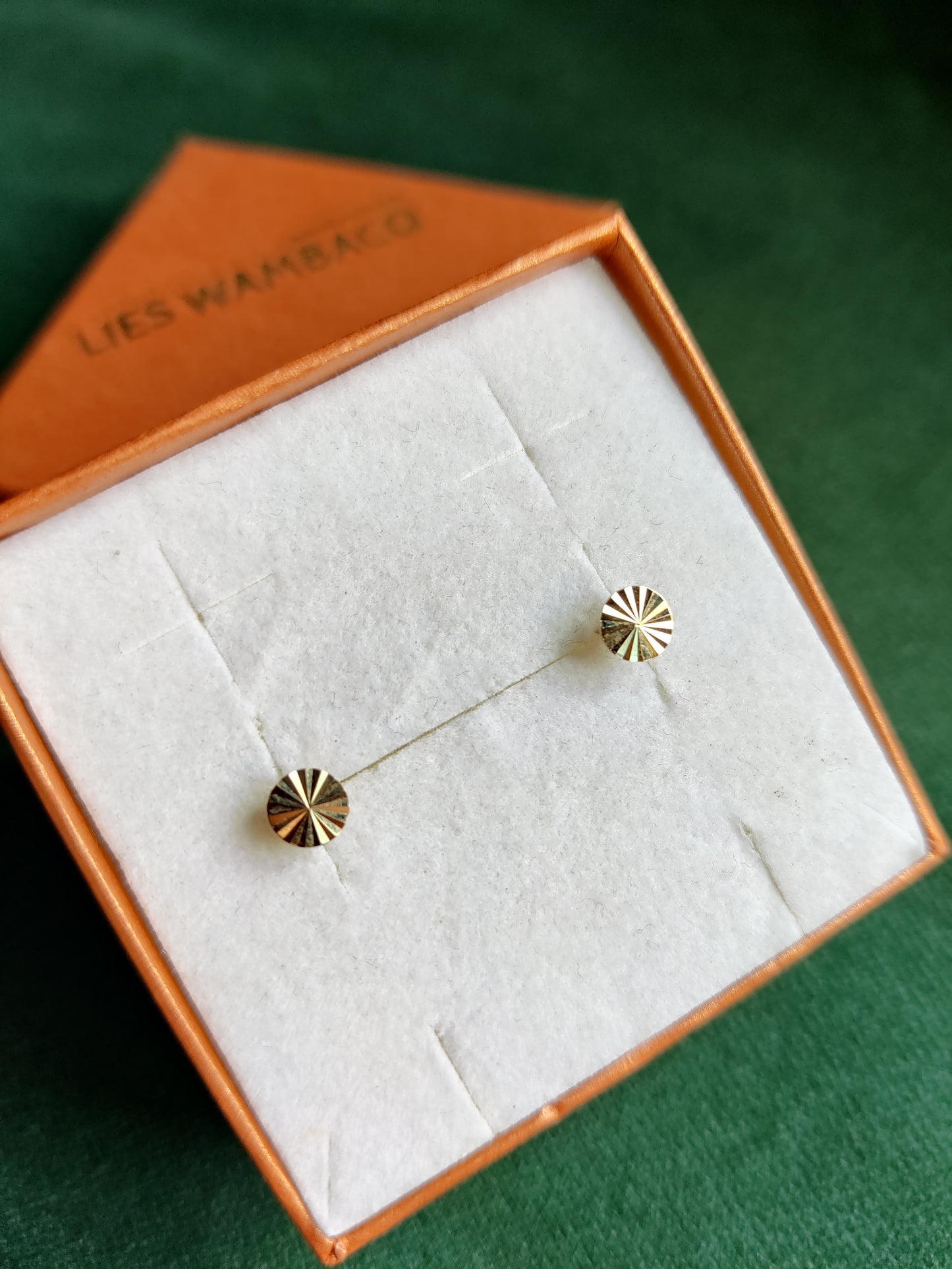 Oorsteker 14k geel goud - Disc