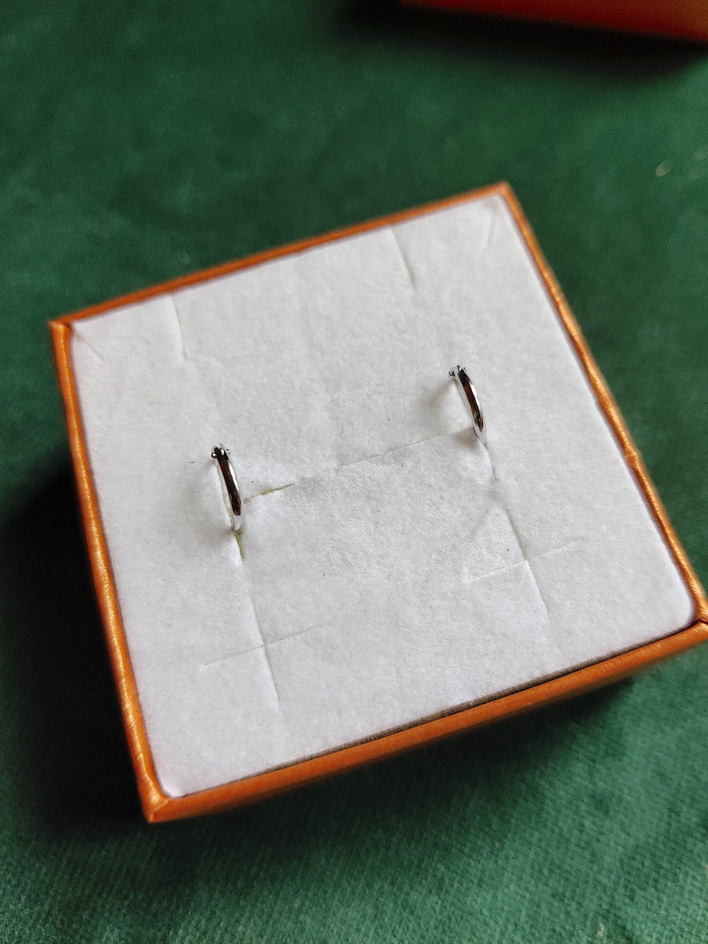 Oorbel in 14k wit goud - Ringie 1 paar