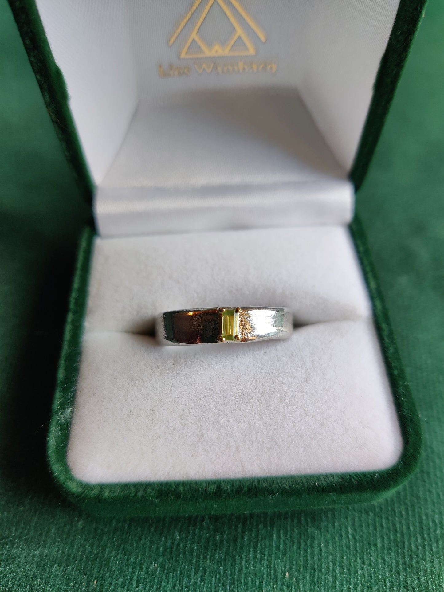 Ring in zilver met 18k gouden zetkast en peridoot - Hove