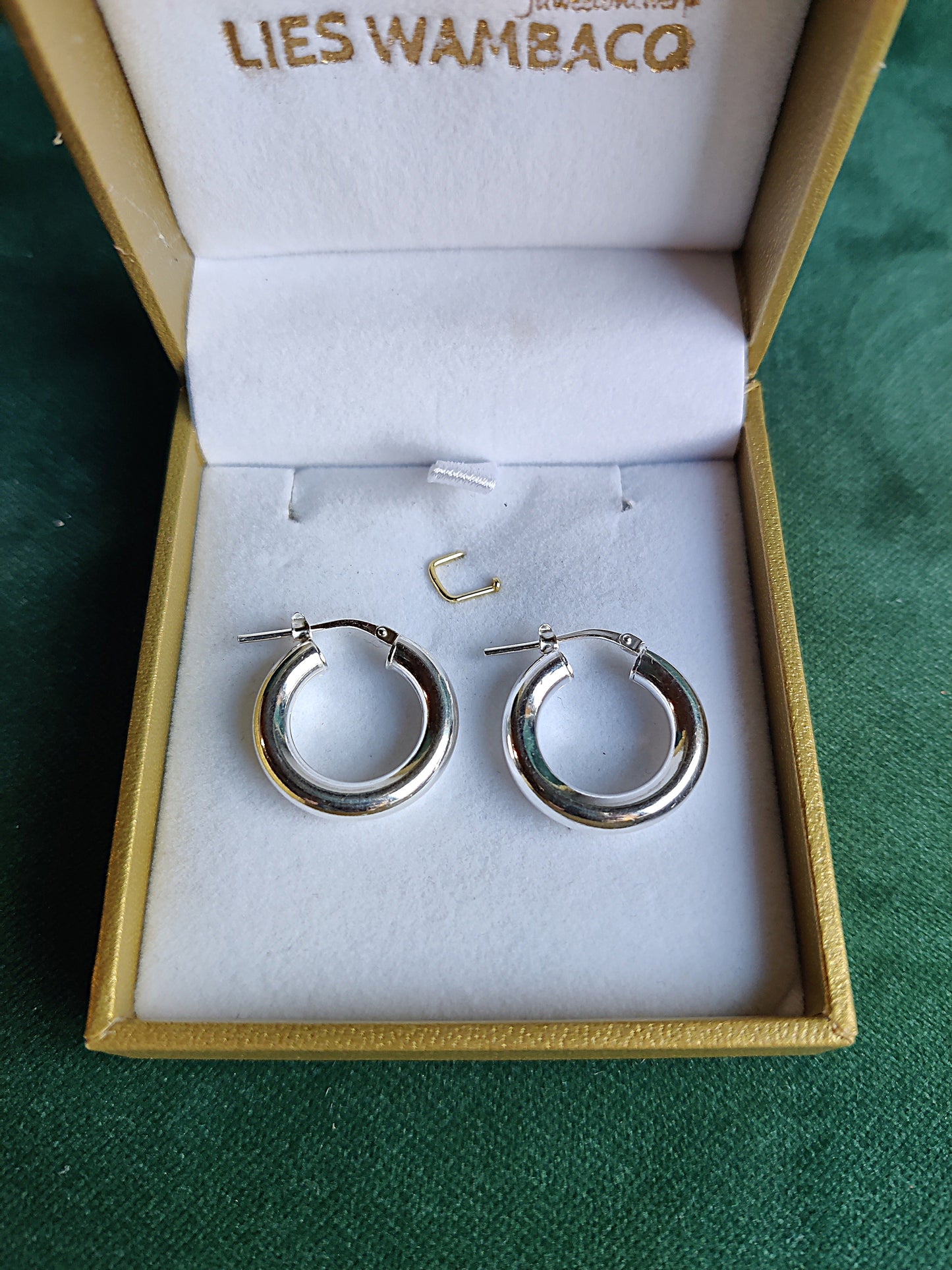 Oorbellen in zilver: Daria