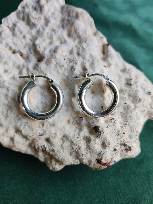 Oorbellen in zilver: Daria