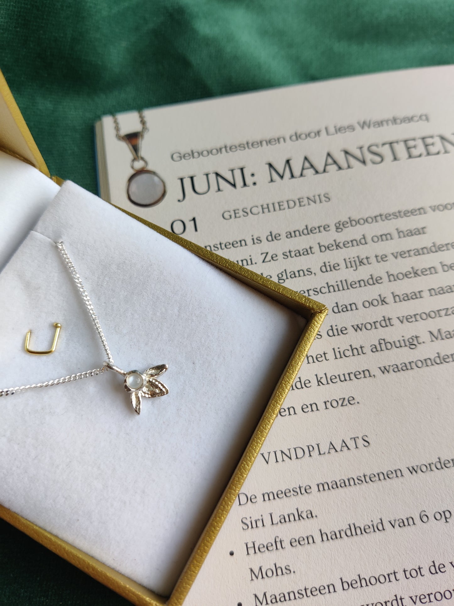 Hanger en ketting in zilver met geboortesteen - Ivy (alle maanden)