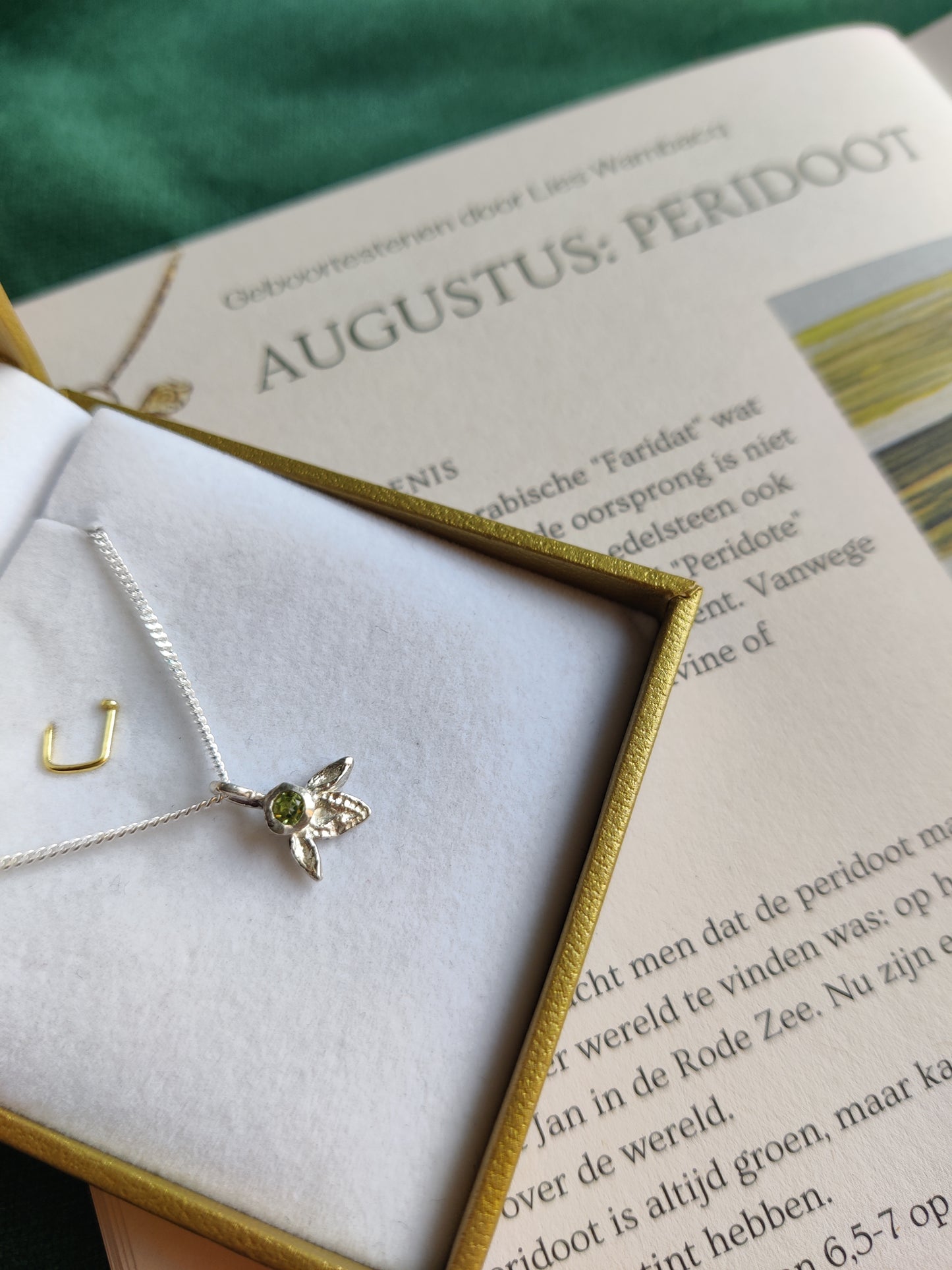 Hanger en ketting in zilver met geboortesteen - Ivy (alle maanden)