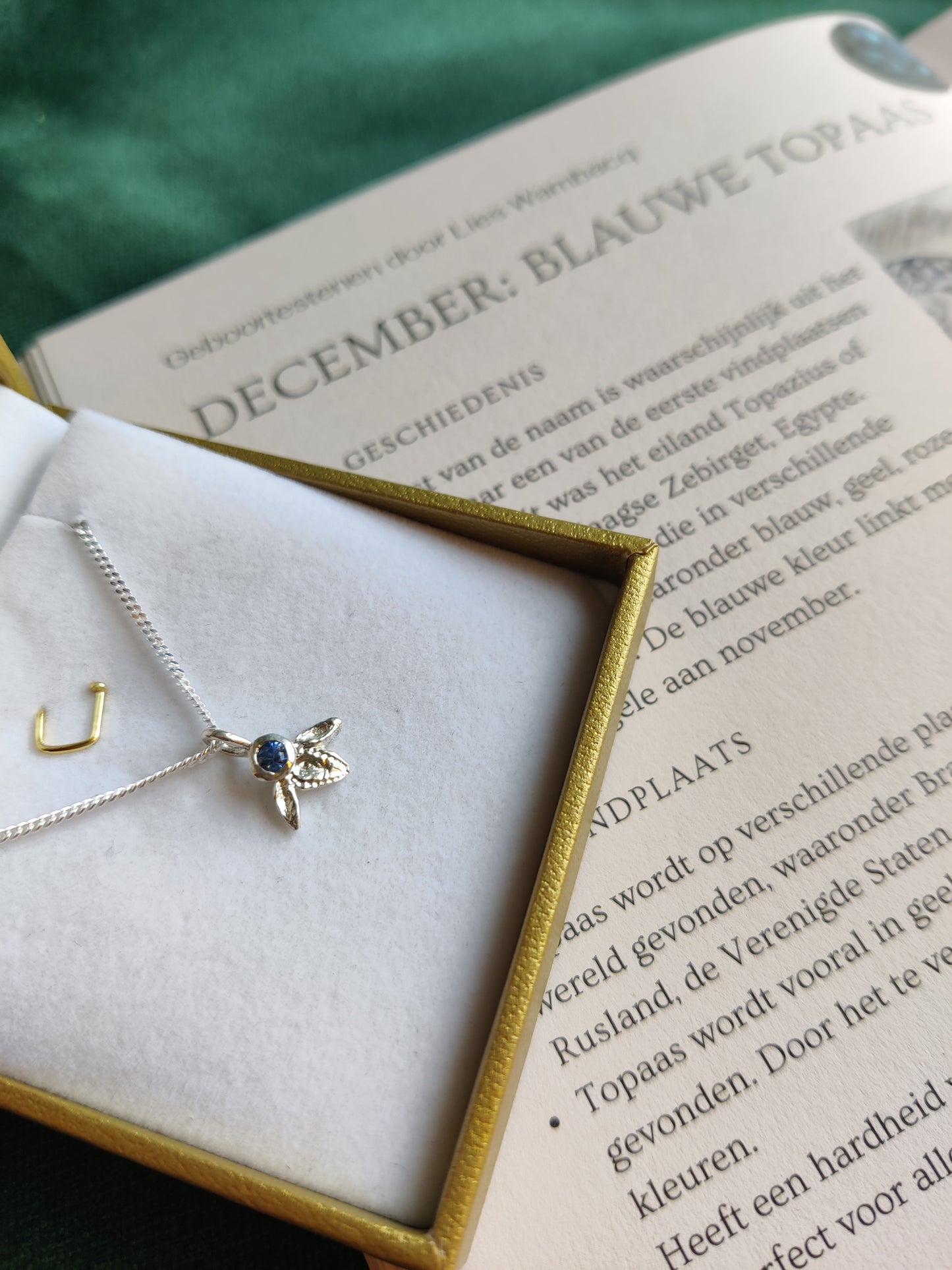 Hanger en ketting in zilver met geboortesteen - Ivy (alle maanden)