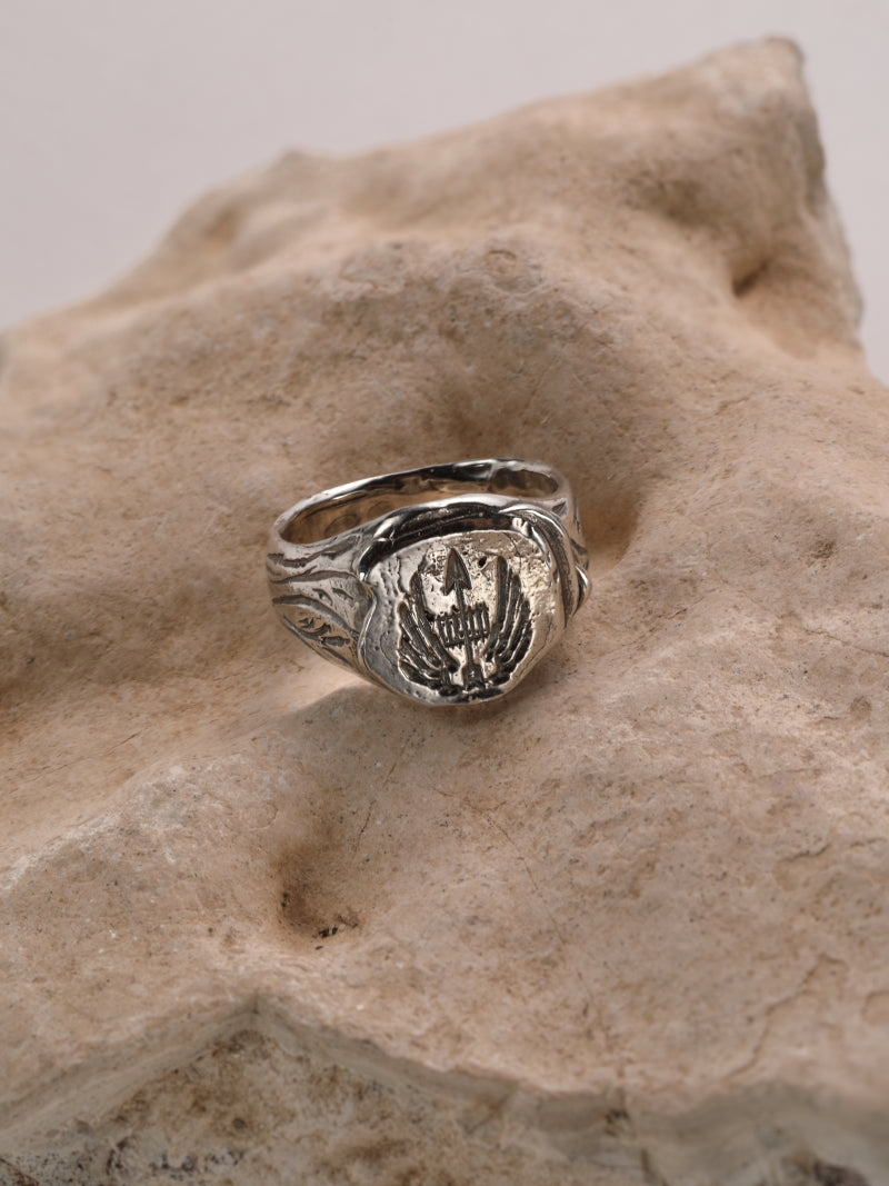 Zegelring in zilver met wapenschild - Karel